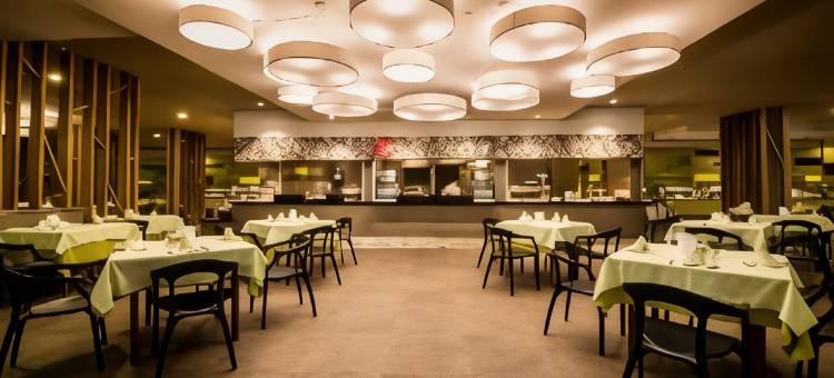 比阿特丽斯普拉亚水疗酒店(Hotel Beatriz Playa & Spa)图片