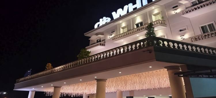 De Whitte Hotel Pekanbaru图片