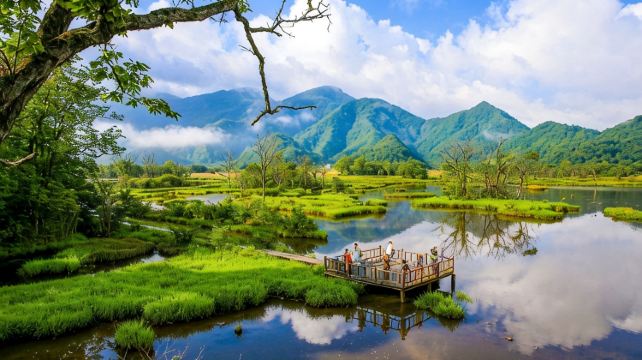 神农架、宜昌+3