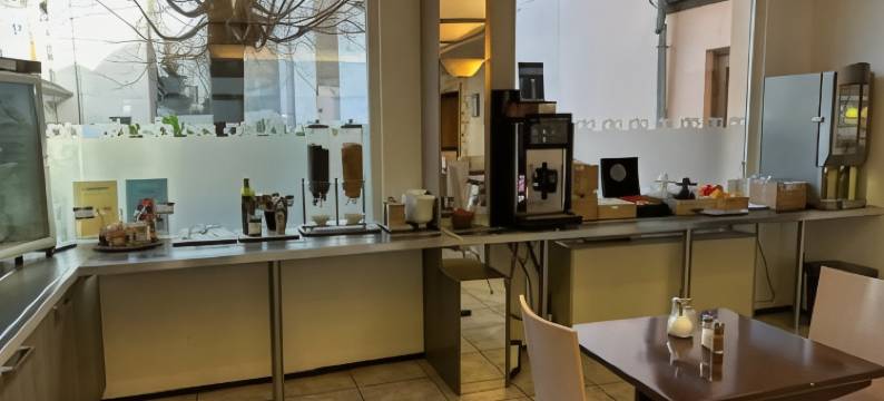 米卢斯中心舒适英式酒店(Brit Hotel Mulhouse Centre)图片