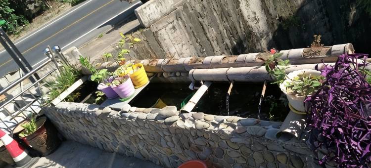 黄山蒋家宜家客栈图片