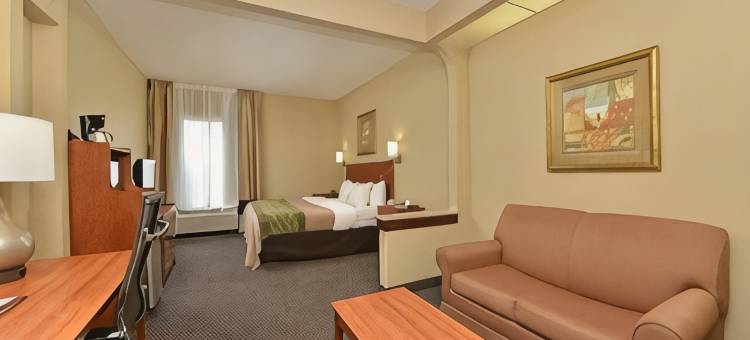 圣路易斯和I-255附近凯艺套房酒店(Quality Inn & Suites Near St Louis and I-255)图片