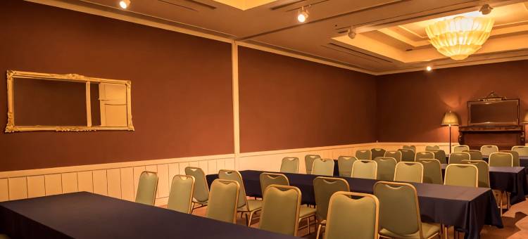 皇家帕恩斯酒店浦和(Royal Pines Hotel Urawa)图片