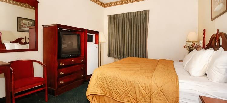 戴顿西北英格尔伍德舒适套房酒店(Comfort Inn & Suites Dayton Northwest - Englewood)图片
