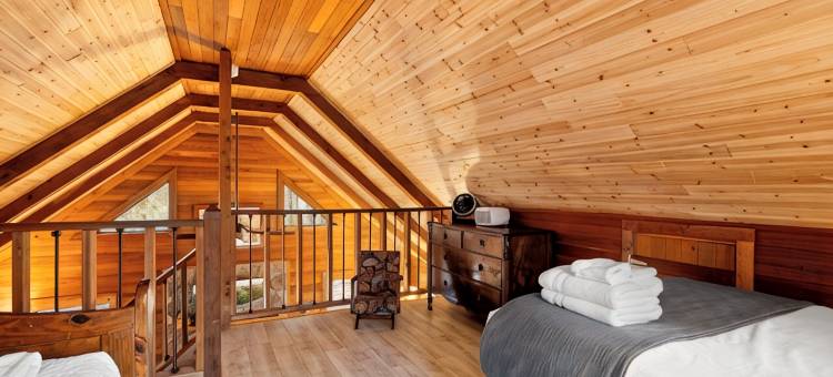 山间; 托科阿河 配有火坑的宁静木屋，可携犬(Peaceful Cabin in the Mountains; Near Toccoa River w/Firepit, Dog-Friendly)图片