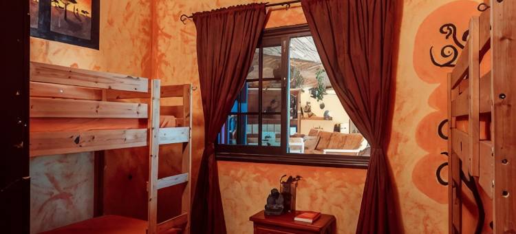洛斯阿米戈斯巢旅舍(Los Amigos Nest Hostel)图片