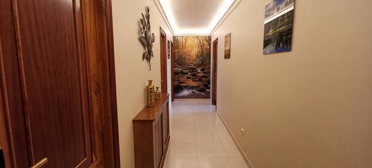 丽娜勒斯酒店(Hotel Liñares)图片