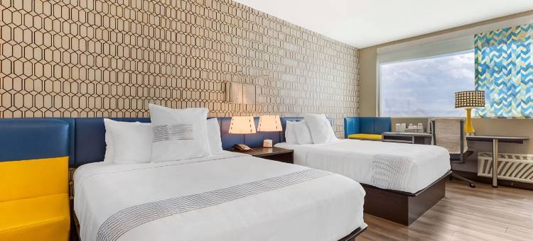 迪索托达拉斯贝斯特韦斯特格洛酒店(GLo Best Western DeSoto Dallas)图片
