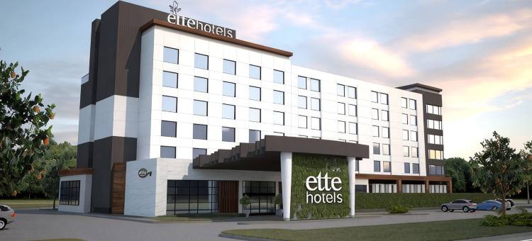 艾特奢华酒店及水疗中心(Ette Luxury Hotel & Spa – near Disney Theme Parks)图片