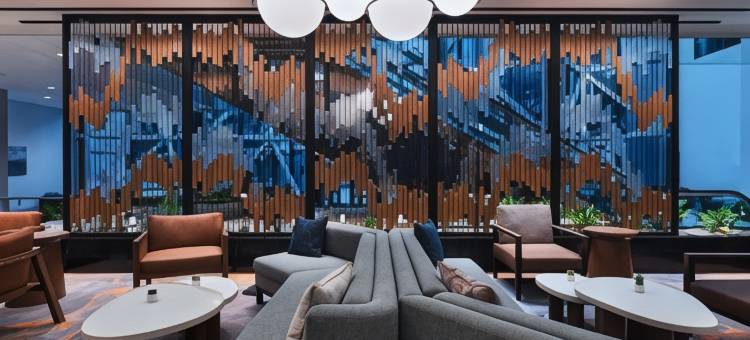 休斯顿医疗中心/博物馆区万豪酒店(Houston Marriott Medical Center/Museum District)图片