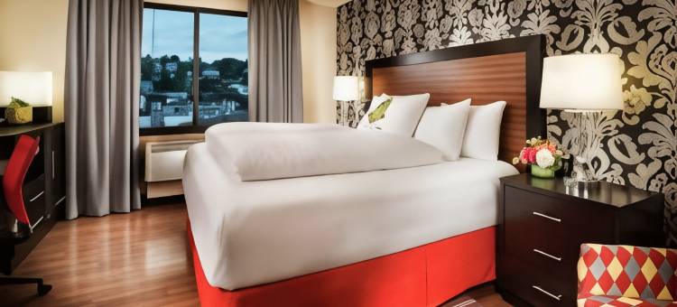 Staypineapple-麦克斯韦酒店-西雅图中心-西雅图(Staypineapple, the Maxwell Hotel, Seattle Center Seattle)图片