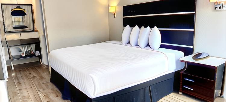 阿林顿美洲优选酒店(Americas Best Value Inn Arlington)图片