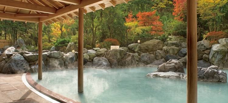Mahoroba酒店(Hotel Mahoroba)图片