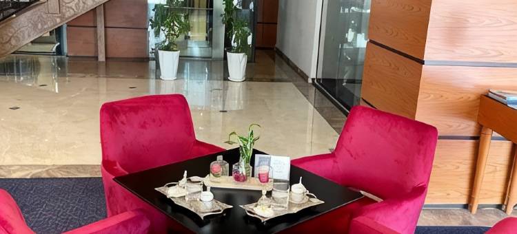 埃尔比勒市中心德德曼酒店(Dedeman Erbil Hotel City Center)图片