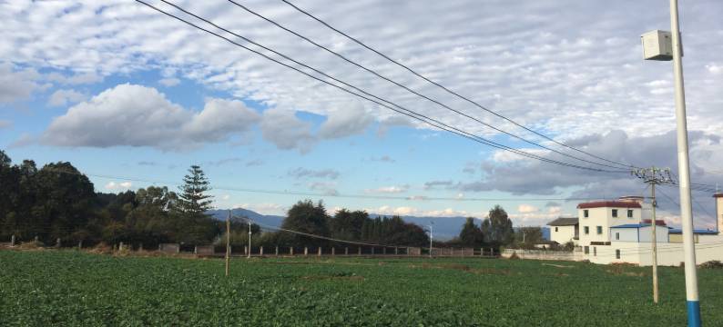 玉溪明星乡村宾馆图片
