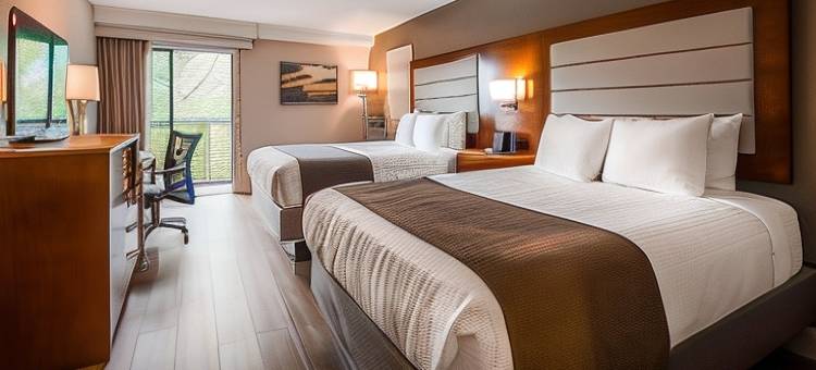 希尔顿黑德岛斯帕克酒店(Spark by Hilton Hilton Head Island)图片