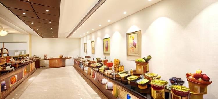 阿科德铬(Accord Chrome)图片