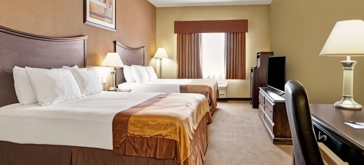 迪凯特呗盟套房酒店(Baymont by Wyndham Decatur)图片