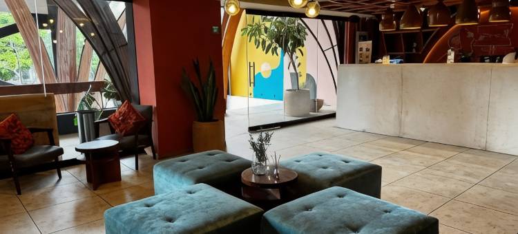 瓜达拉哈拉赛琳娜酒店(Hotel Olá Chapultepec)图片