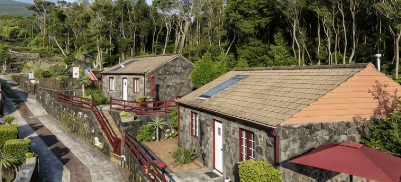 酒庄酒店(Aldeia Das Adegas)图片