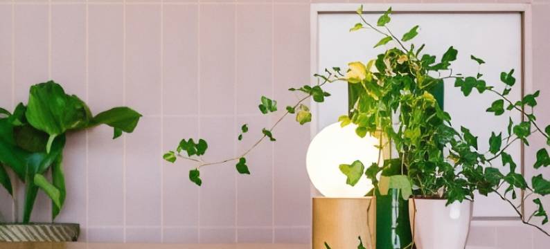 Hi 酒店格但斯克机场(Hi Hotel Gdansk Airport)图片