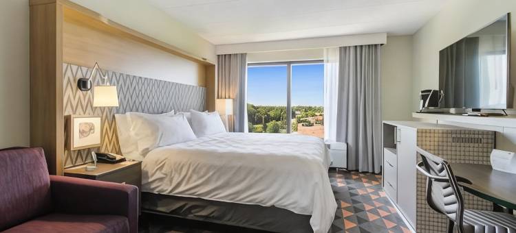 芝加哥西北/克里斯特尔莱克/会议中心假日酒店(Holiday Inn Chicago NW Crystal LK Conv Ctr)图片