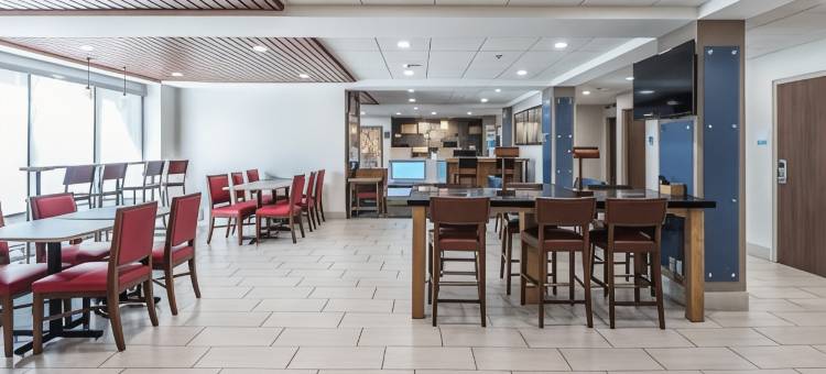 Holiday Inn Express 火石校园面积(Holiday Inn Express Flint-Campus Area)图片