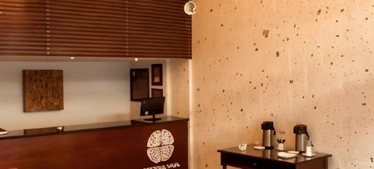 蒂拉维瓦阿雷基帕广场酒店(Tierra Viva Arequipa Plaza)图片