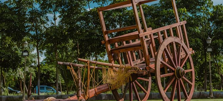 Farm Stay Resort - Shamirpet, Hyderabad图片