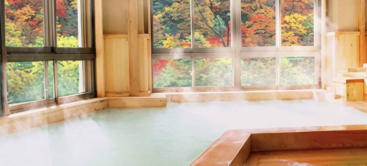 山之宿下藤屋旅馆(Shiobara Onsen Yama No Yado Shimofujiya)图片