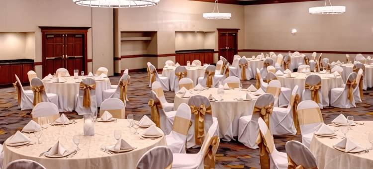 底特律迪尔伯恩希尔顿逸林酒店(DoubleTree by Hilton Detroit - Dearborn)图片