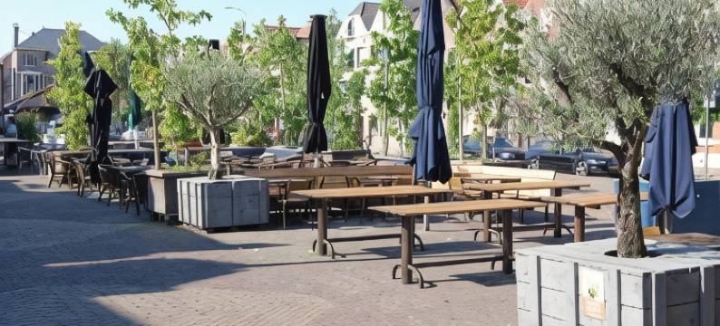 拉雷因酒店(Hotel la Reine)图片