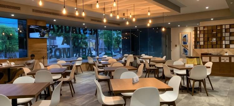 墨西哥大教堂智选假日酒店(Holiday Inn Express Mexico Basilica by IHG)图片