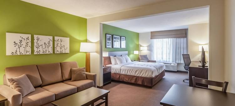 哈利森近大学舒眠套房酒店(Sleep Inn & Suites Harrisonburg Near University)图片