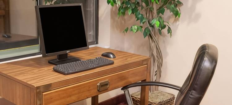 新布法罗温德姆呗盟酒店(Baymont by Wyndham New Buffalo)图片