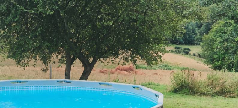 Le Mas Bellanger图片