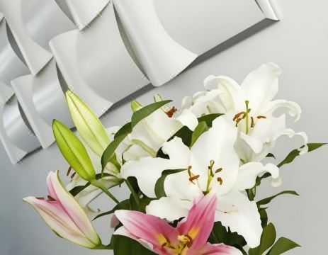 Friday on The Beach Hotel Overview