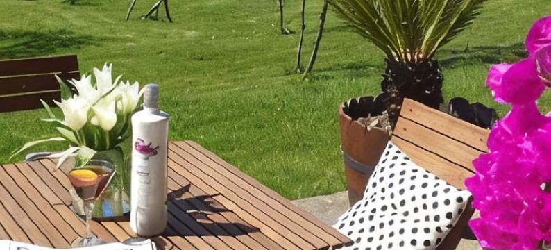 本多伊洛帕佐酒店(Pazo de Bendoiro)图片