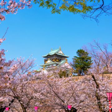 日本8日7晚私家团