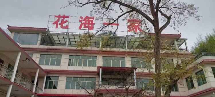 百里杜鹃花海一家图片