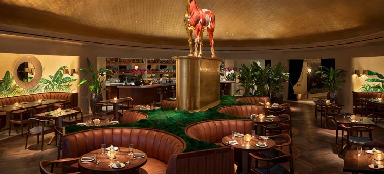 法耶纳民宿(Casa Faena Hotel)(Casa Faena Miami Beach)图片