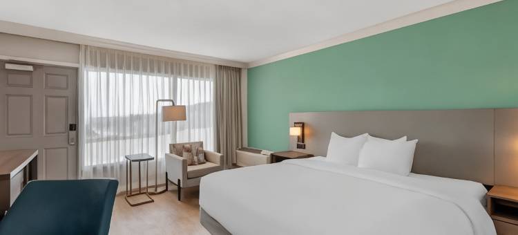 舒适酒店及套房奥蒙德海滩 海滨(Comfort Inn & Suites Ormond Beach Oceanfront)图片