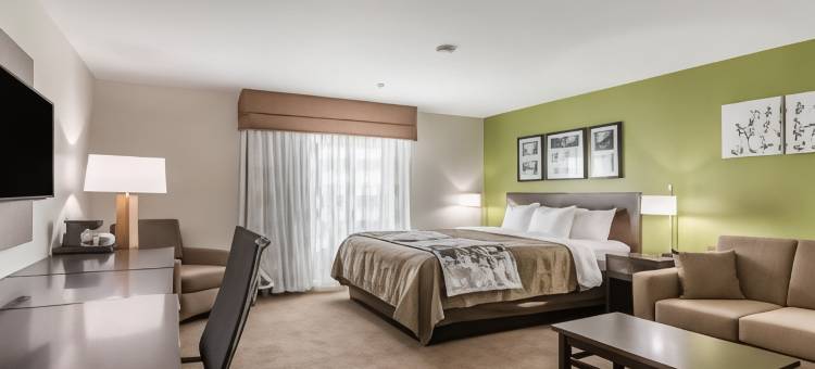 舒眠套房酒店-大学附近(Sleep Inn & Suites College Station Near University)图片