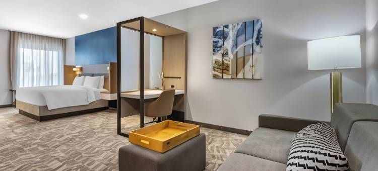 阿纳海姆普拉森舍/富勒顿SpringHill Suites酒店(SpringHill Suites Anaheim Placentia/Fullerton)图片