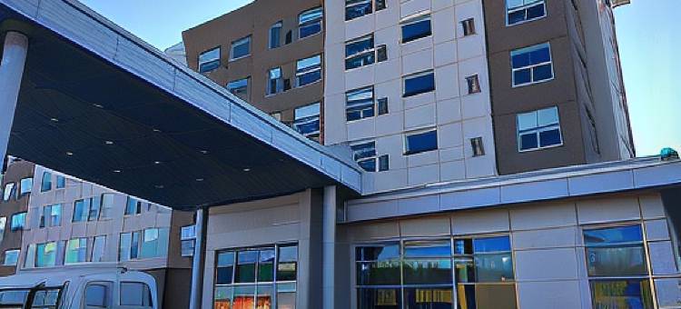 罗利/罗利-达勒姆国际机场/布赖尔溪凯悦嘉寓酒店(Hyatt House Raleigh/Rdu/Brier Creek)图片