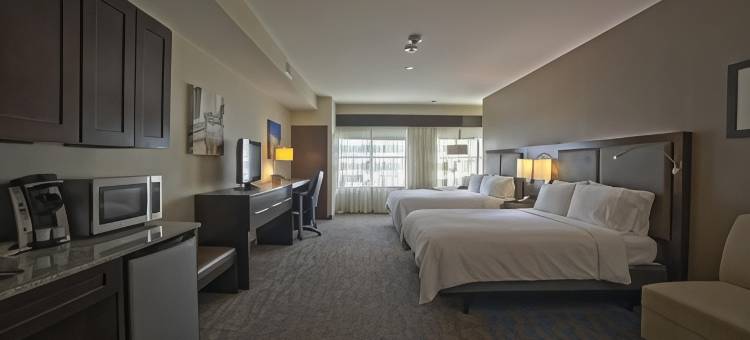 Holiday Inn & Suites 圣安东尼奥西北(Holiday Inn & Suites San Antonio Northwest)图片