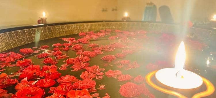 Kottai Veedu Pondicherry图片