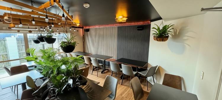 北帕默斯顿BKs高级汽车旅馆(B-Ks Premier Motel Palmerston North)图片