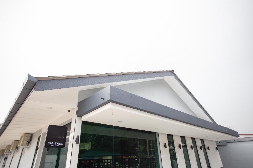 Big Tree BoutiqueOver view