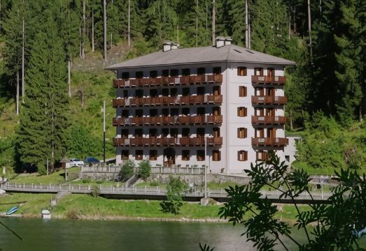 Appartamenti Regina Hotel Overview